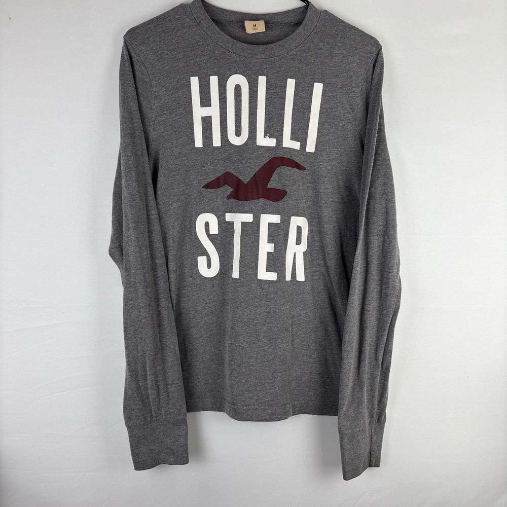 Men's Hollister Grey Long Sleeve Shirt Size M Y2K  Surf Bird